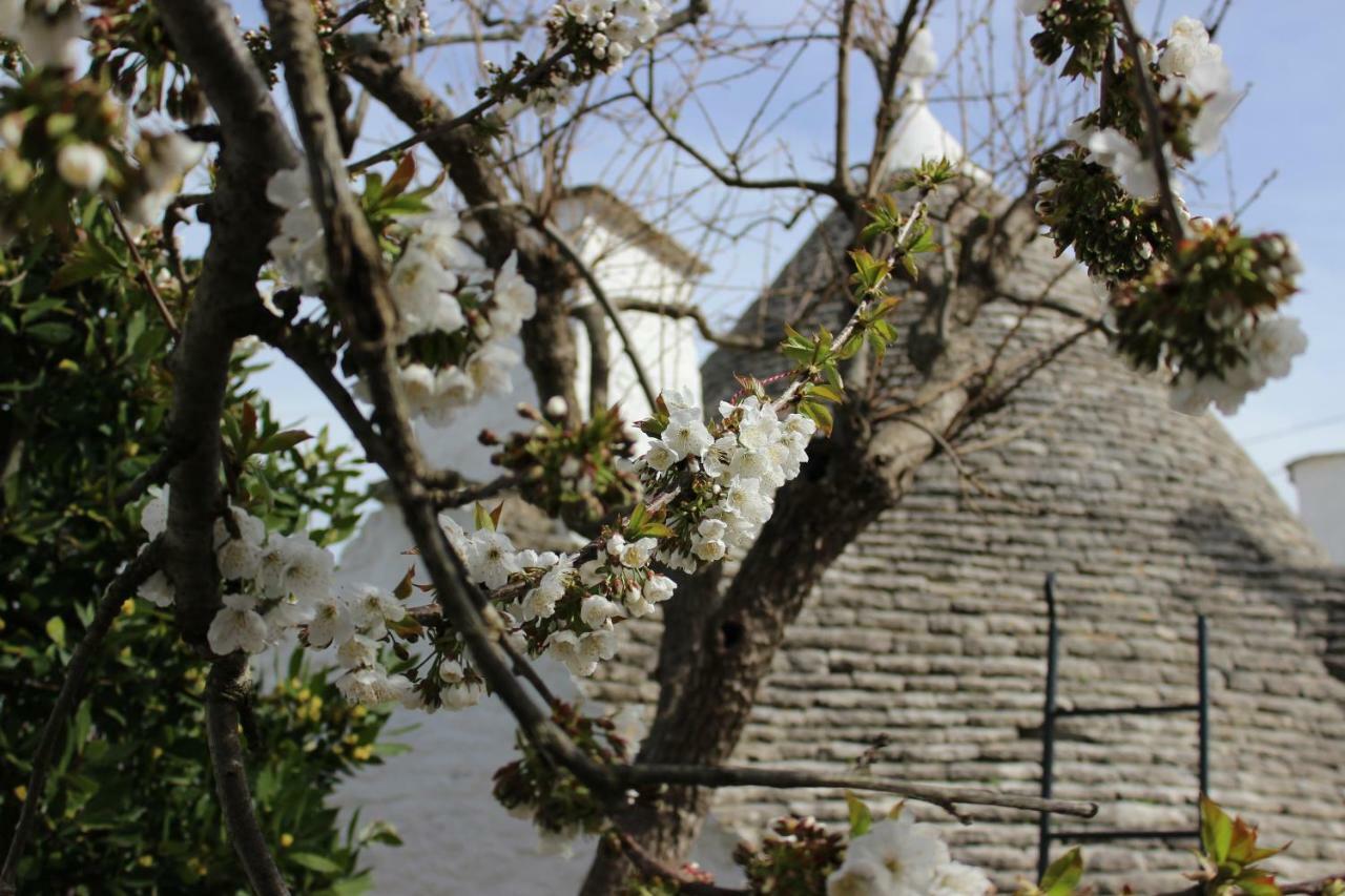 Trullo "Vicolo Fiorito" Vila Alberobello Exterior foto